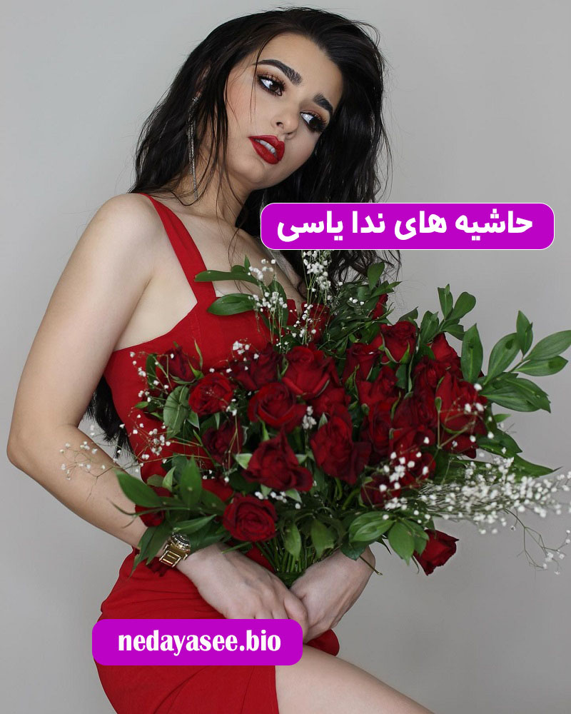 حاشیه های ندا یاسی